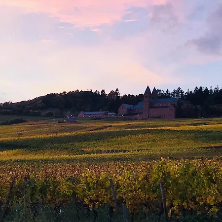 Modernes Am Waldrand Appartement *