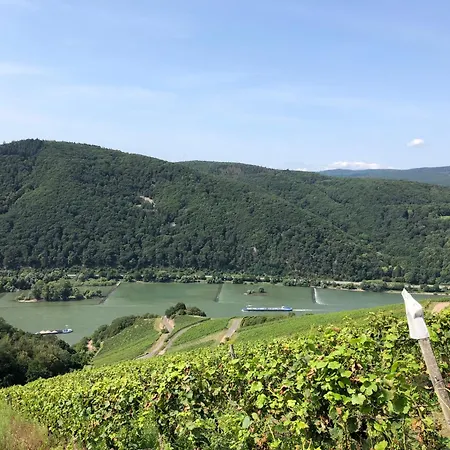 Appartement Modernes Am Waldrand Geisenheim