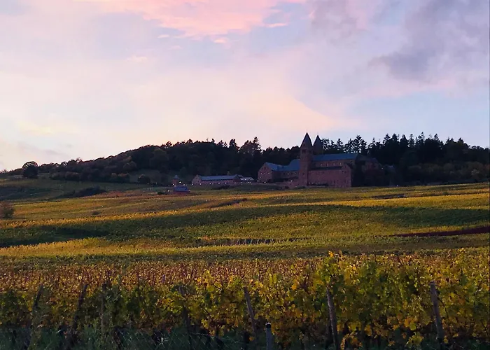 Modernes Am Waldrand דירה *