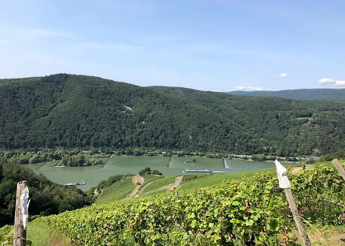 דירה Modernes Am Waldrand גאיסנהם