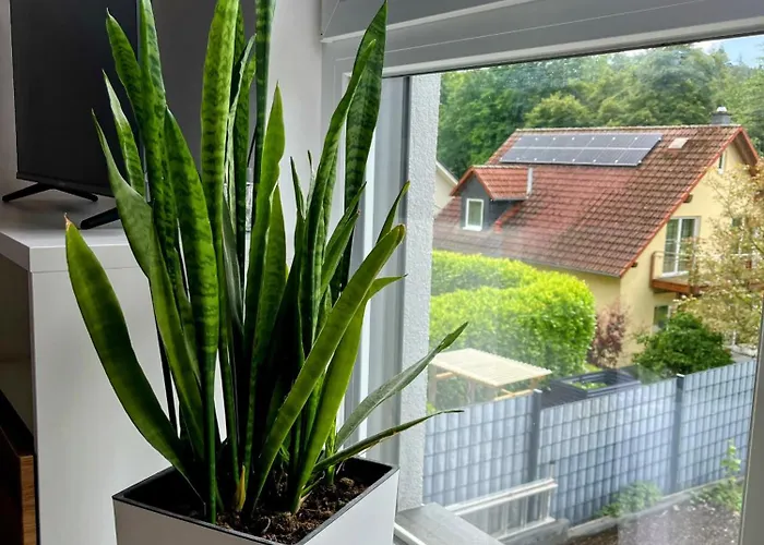 Modernes Am Waldrand גאיסנהם